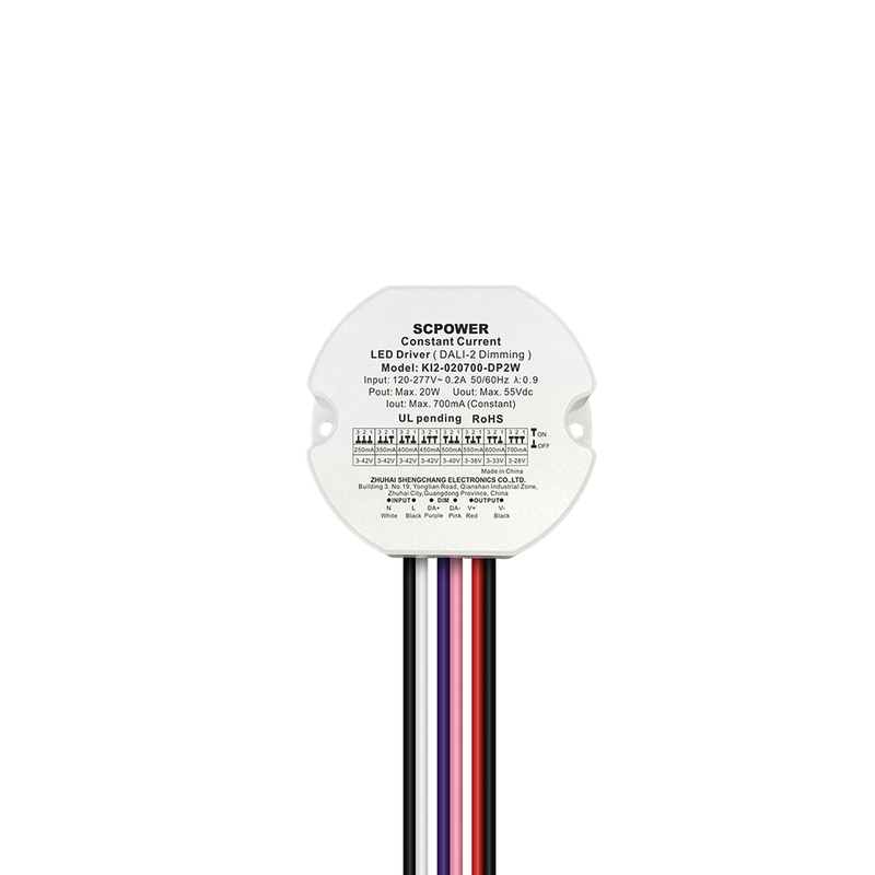 DP2 10W 15W 20W 30W 40W 50W CC da 100 mA a 1750 mA Classe 2 DALI-2 Driver LED dimmerabile push Tondo di downlight