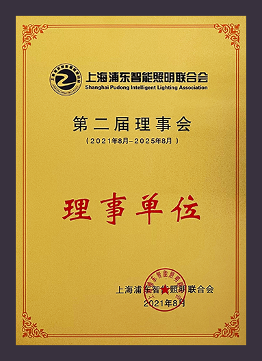 Şangay Pudong Akıllı Aydınlatma Derneği