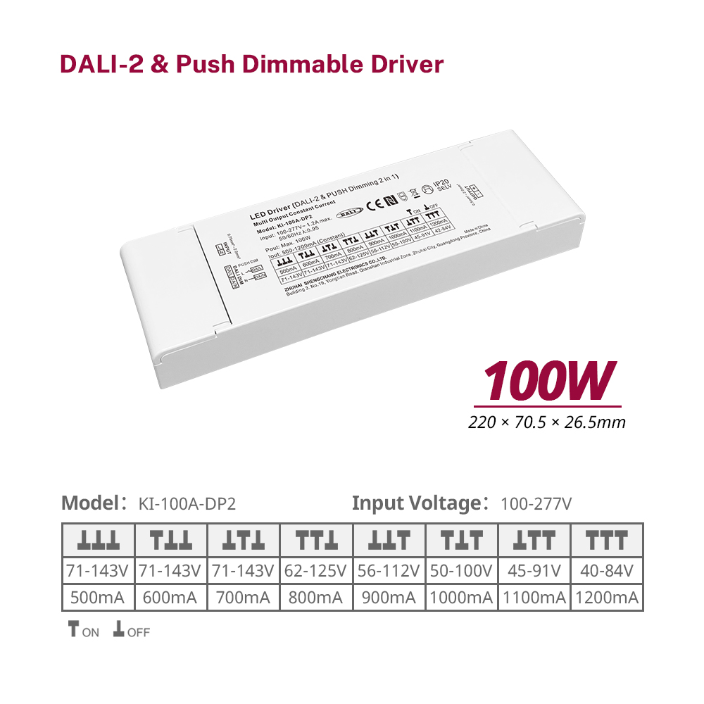DP2 100 W Konstantstrom RGBW RGB DALI-2 Push-dimmbarer Treiber LED DALI