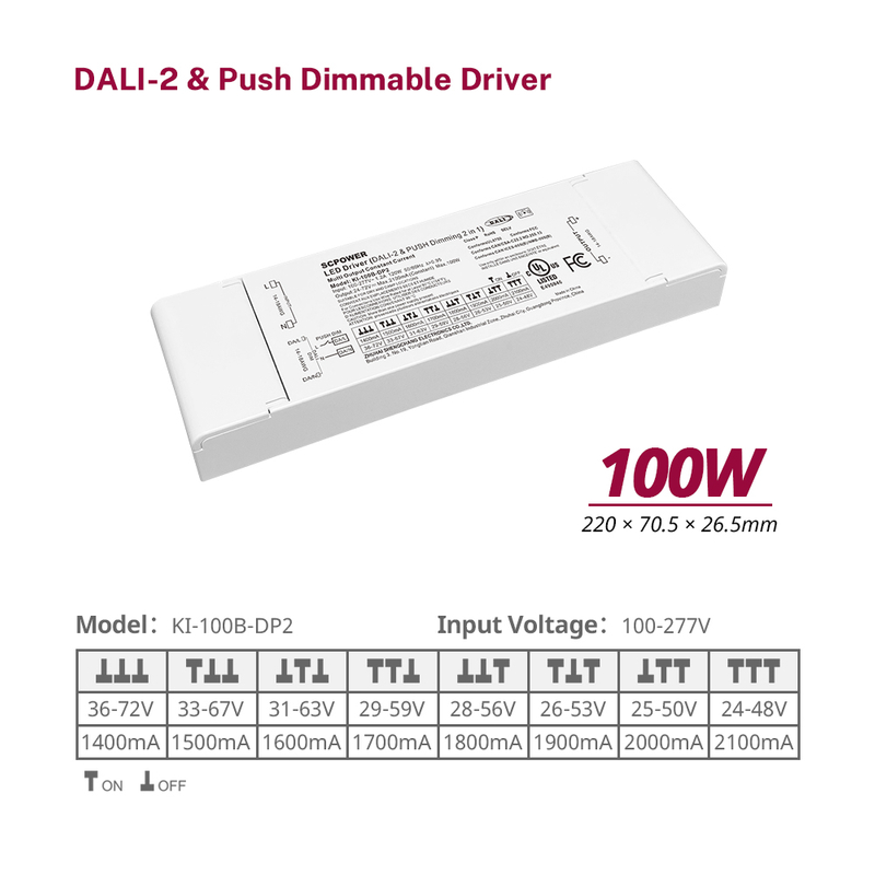 DP2 100 W Konstantstrom RGBW RGB DALI-2 Push-dimmbarer Treiber LED DALI