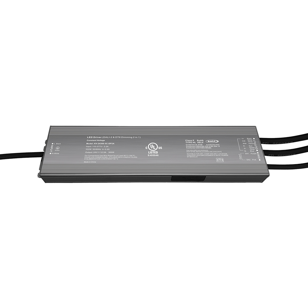DP2 300W CV RGB CW DALI 2 Push Dimmable LED Drayva 12Vdc 24Vdc 36Vdc 48Vdc