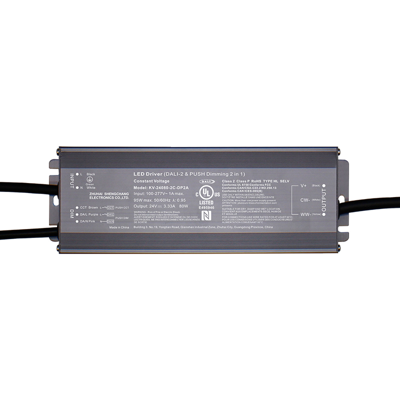 DP2 80W 96W 100W 120W CV RGB CW DALI-2 Push LED ไดร์เวอร์ 12V 24V 36V 48V DC