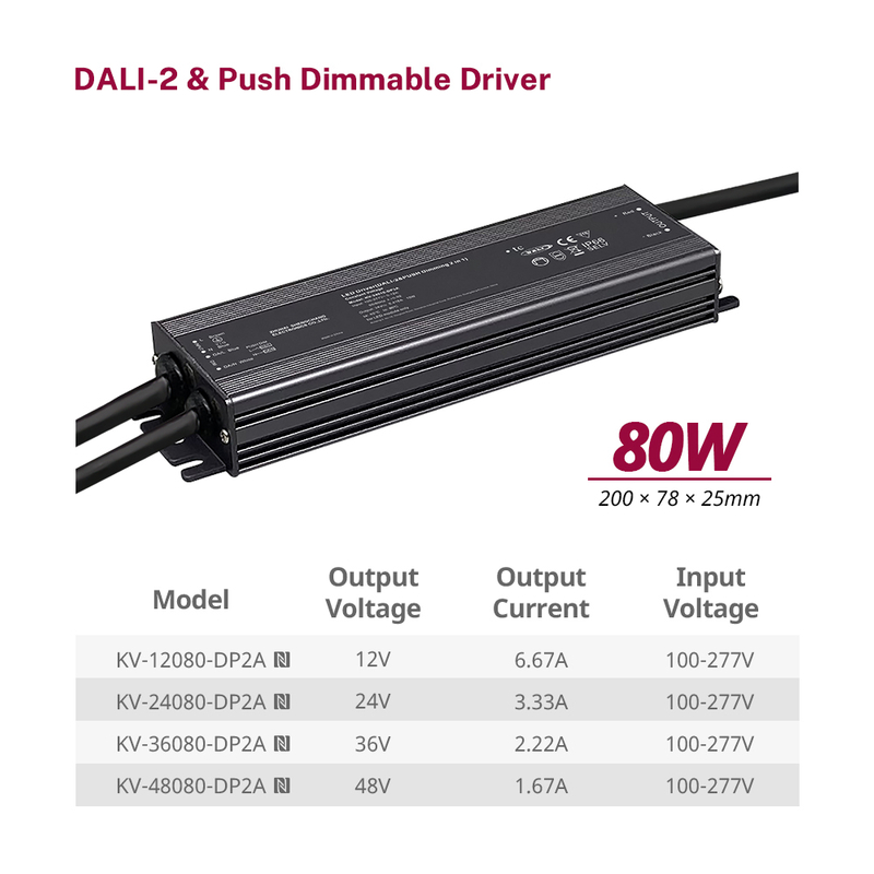 DP2 80W 96W 100W 120W CV RVB CW DALI-2 Pilote LED Push 12V 24V 36V 48V DC