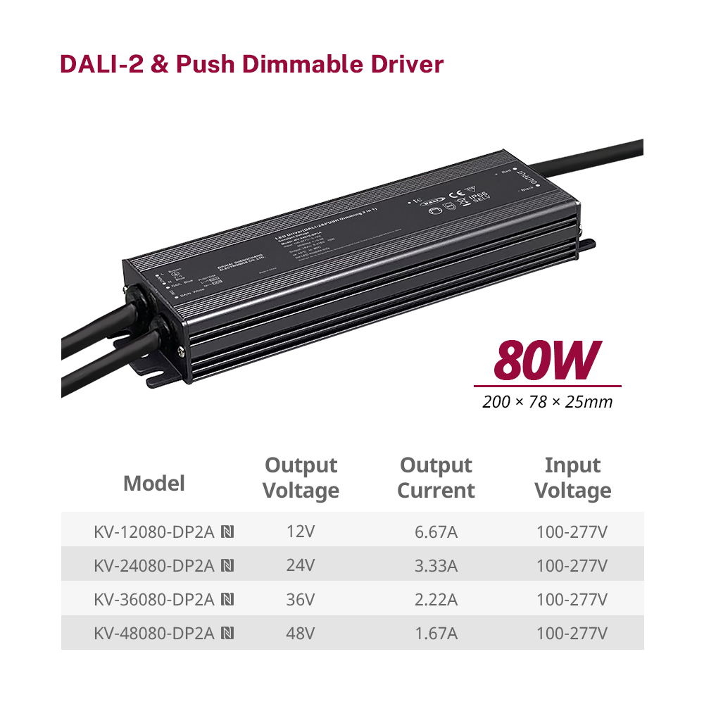 DP2 80W 96W 100W 120W CV RGB CW DALI-2 Push LED-driver 12V 24V 36V 48V DC