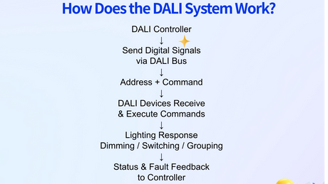 &iquest;C&oacute;mo funciona el sistema DALI_3611_2031.png